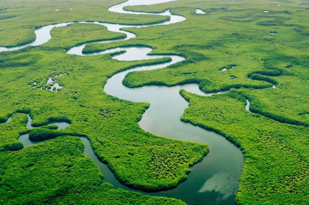 The rich Pantanal, teeming with wildlife