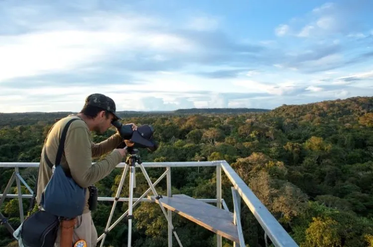 The thrill of spotting bird life at 50 metres up in the sky!
