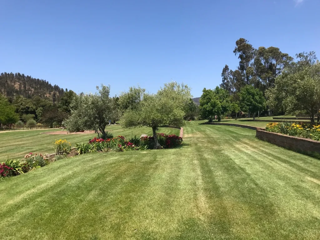 The grounds of the beautiful Matetic Vineyards. A strong contender for some of the best wine produced in South America