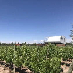 stay in a room on stilts above the vines at Entre Cielos