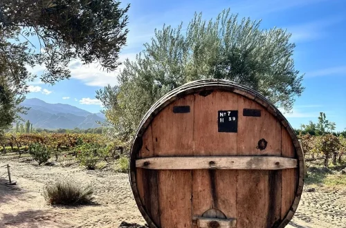 The iconic Wine Barrel; synonymous with wine holidays to South America