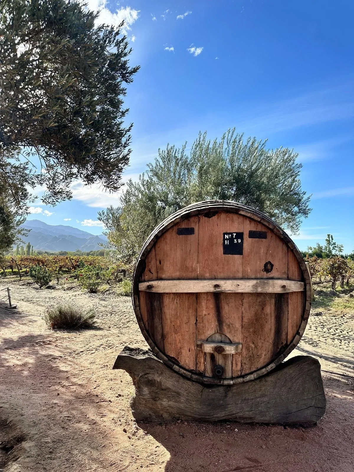 The iconic Wine Barrel; synonymous with wine holidays to South America