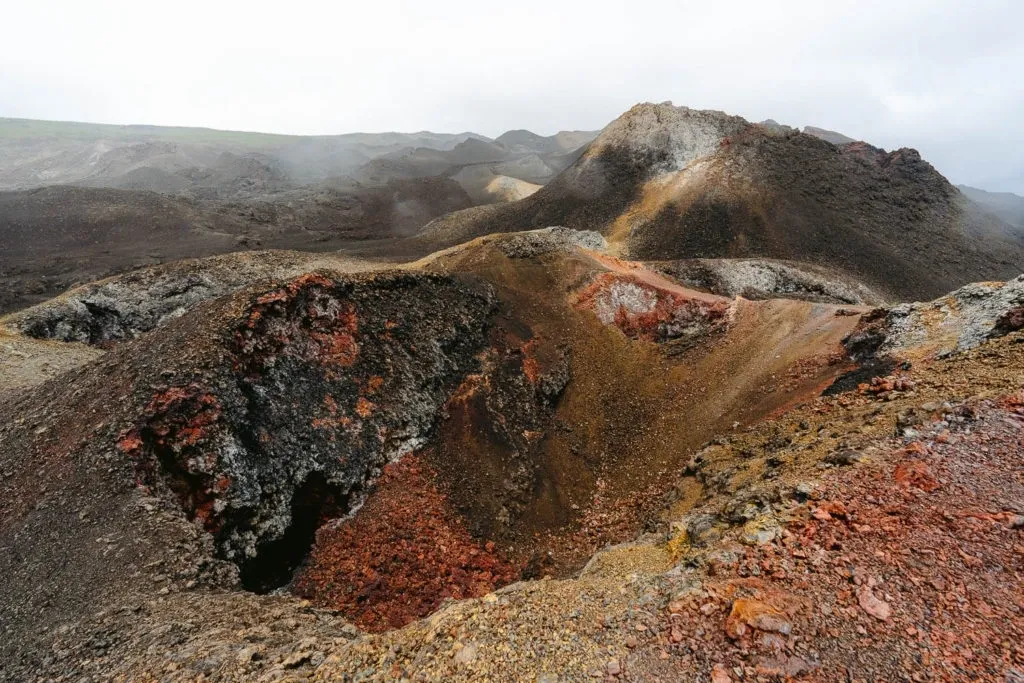 The Sierra Negra Volcano is a rewarding climb and a perfect activity to compliment sea based adventures