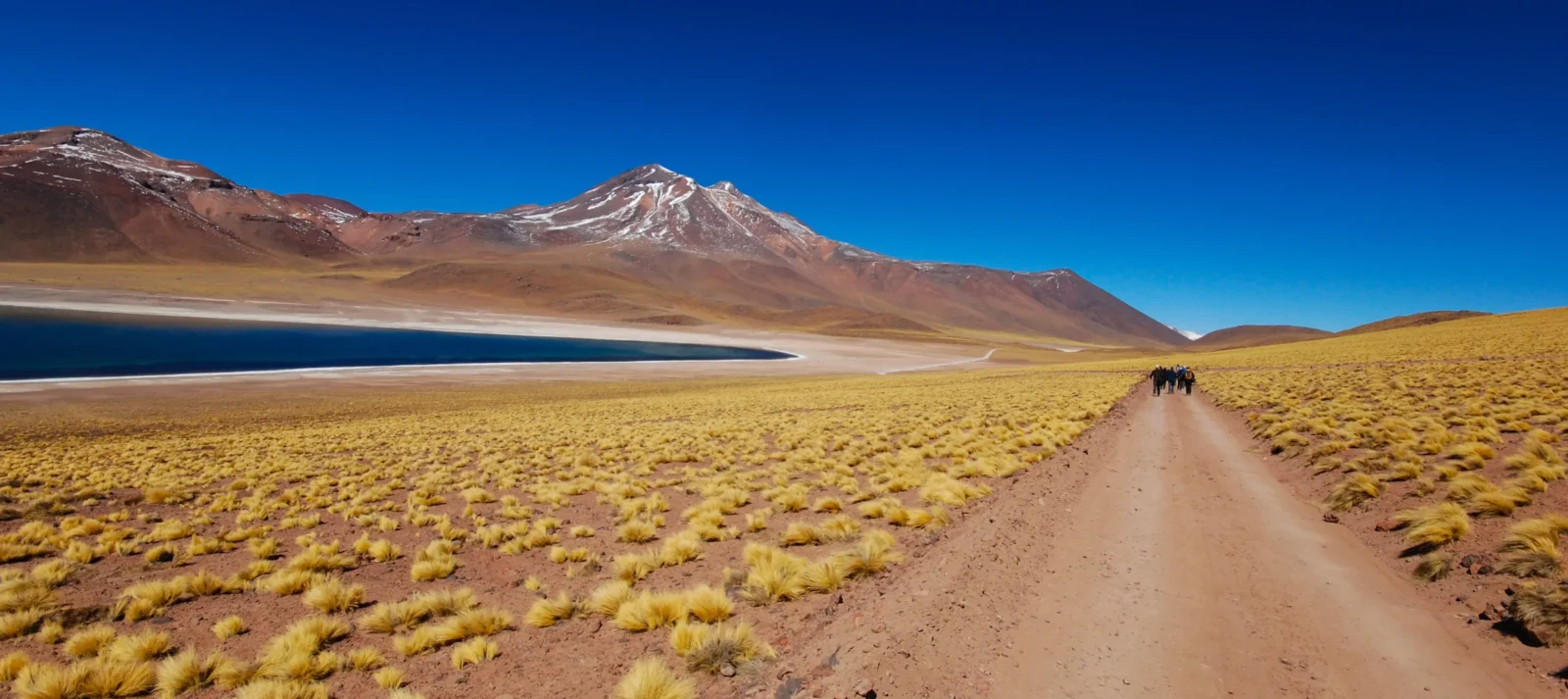 Enjoy exploring the Atacama Desert in Chile