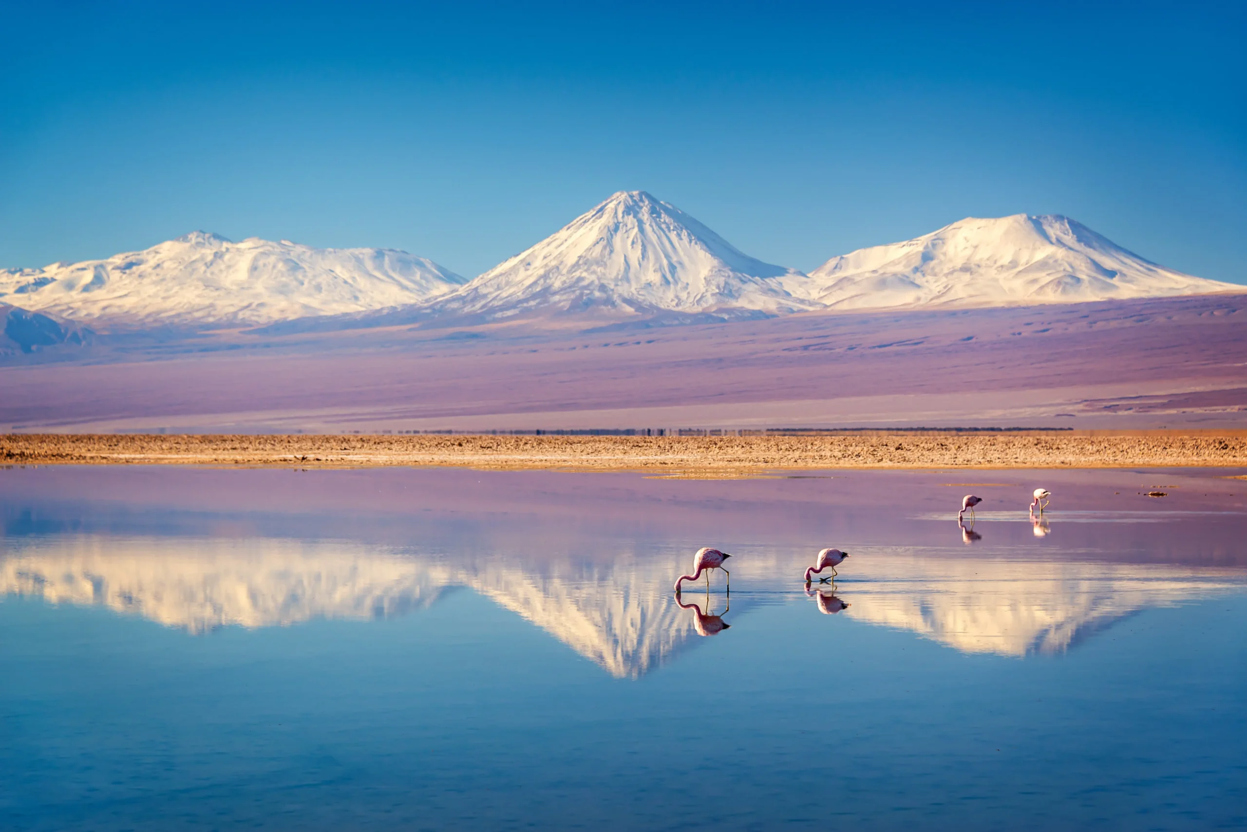 Discover the other-worldly Atacama Desert on our Chile highlights holiday