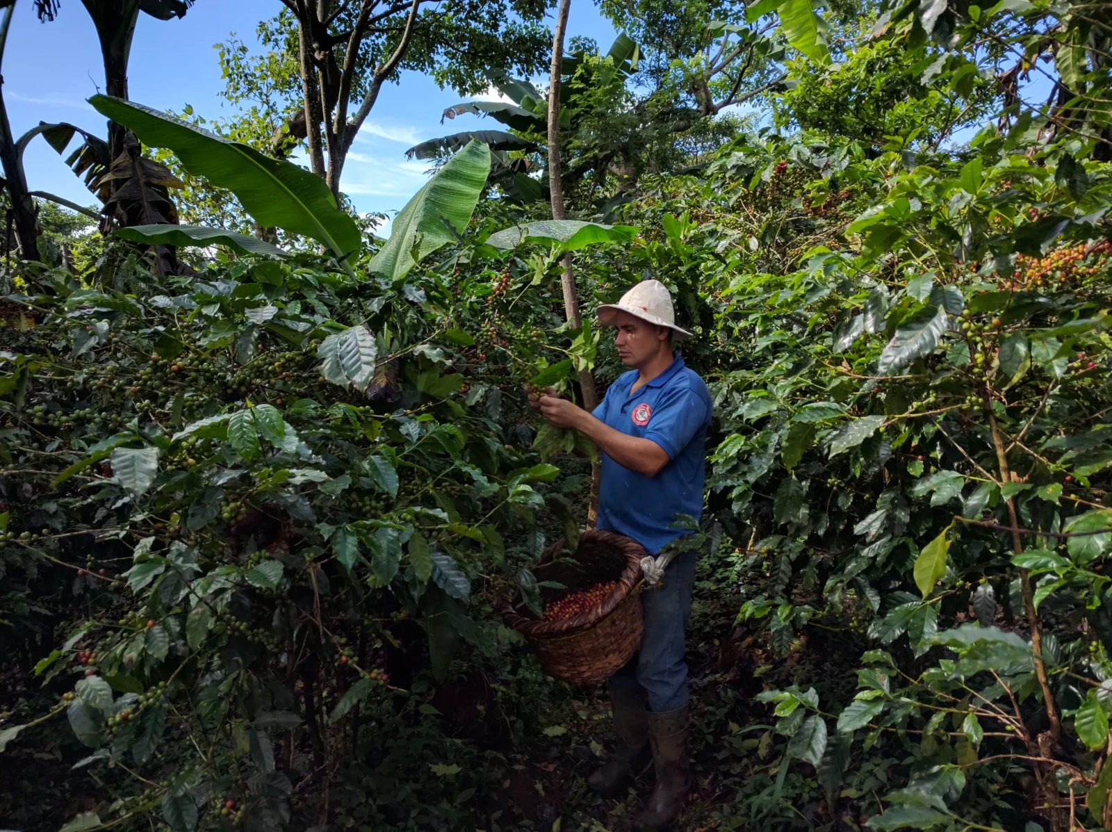 Central Valley Costa Rica 