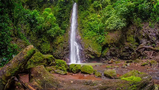 Explore tropical waterfalls in the Central Valley, Costa Rica