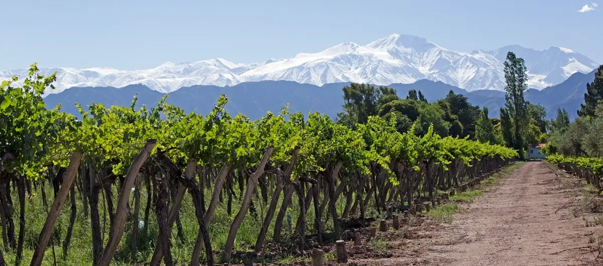 Luxury Journey through Argentina