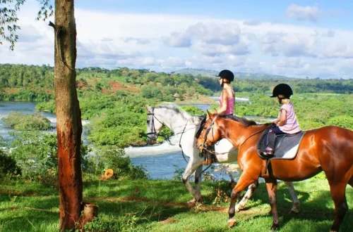 Two girls riding a horse