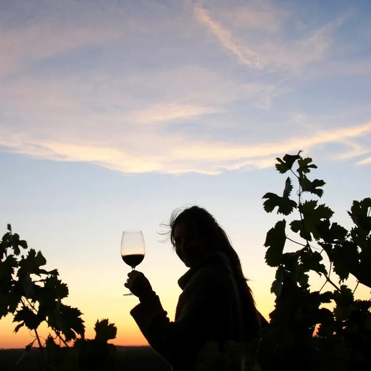 Sample Chile's Wines