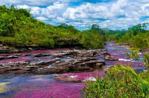 Cano Cristales 'Rainbow River'