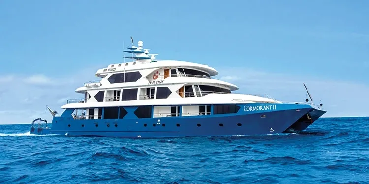 Cormorant II Catamaran