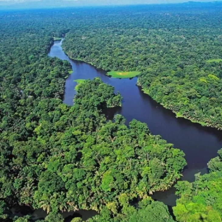 Tortuguero's canals
