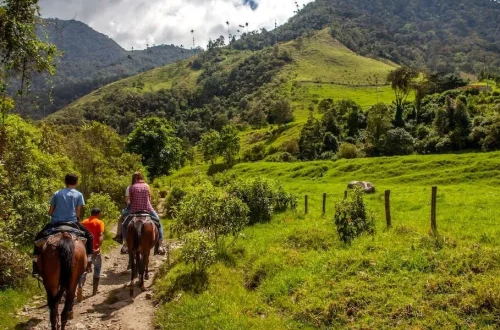 Horseback riding