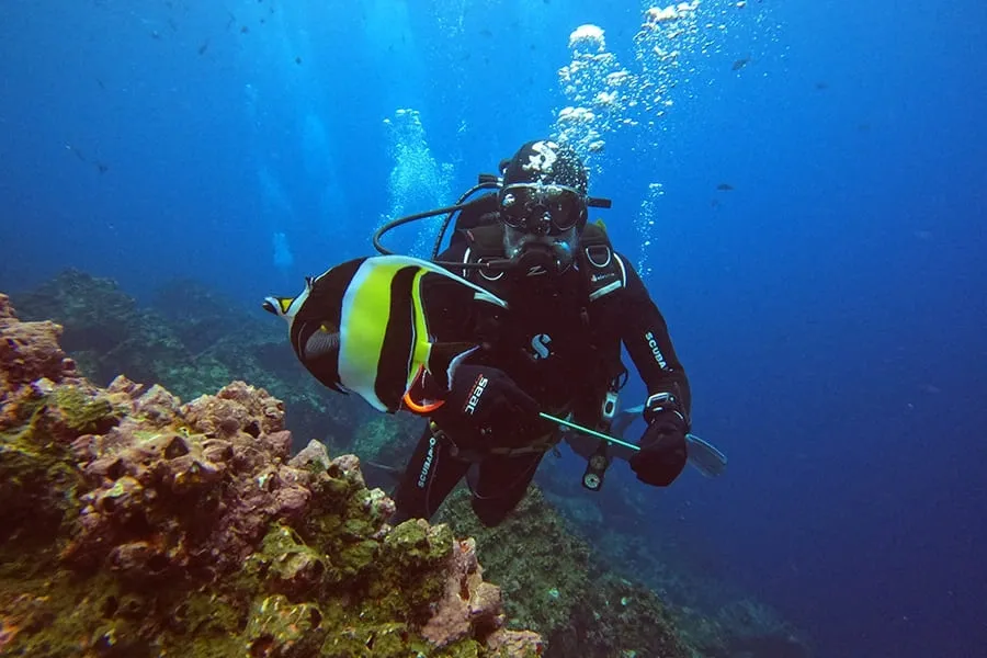 Galaxy Diver and Diver II are specialist scuba diving