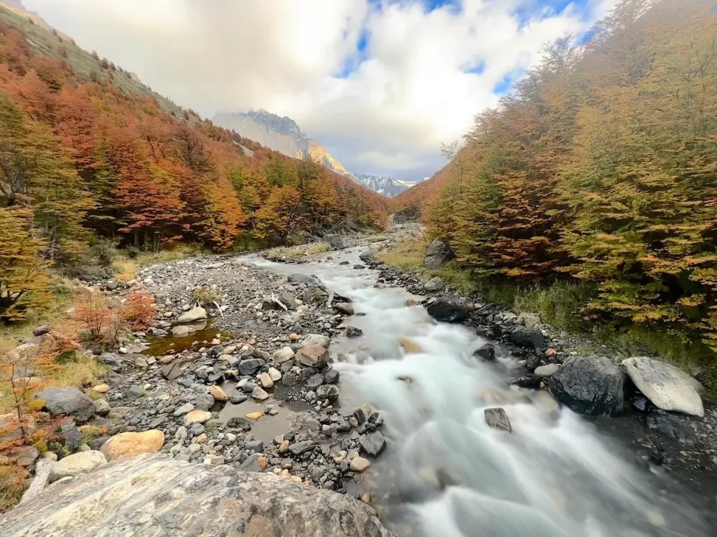Patagonia river