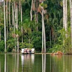 Boat on the Amazon river