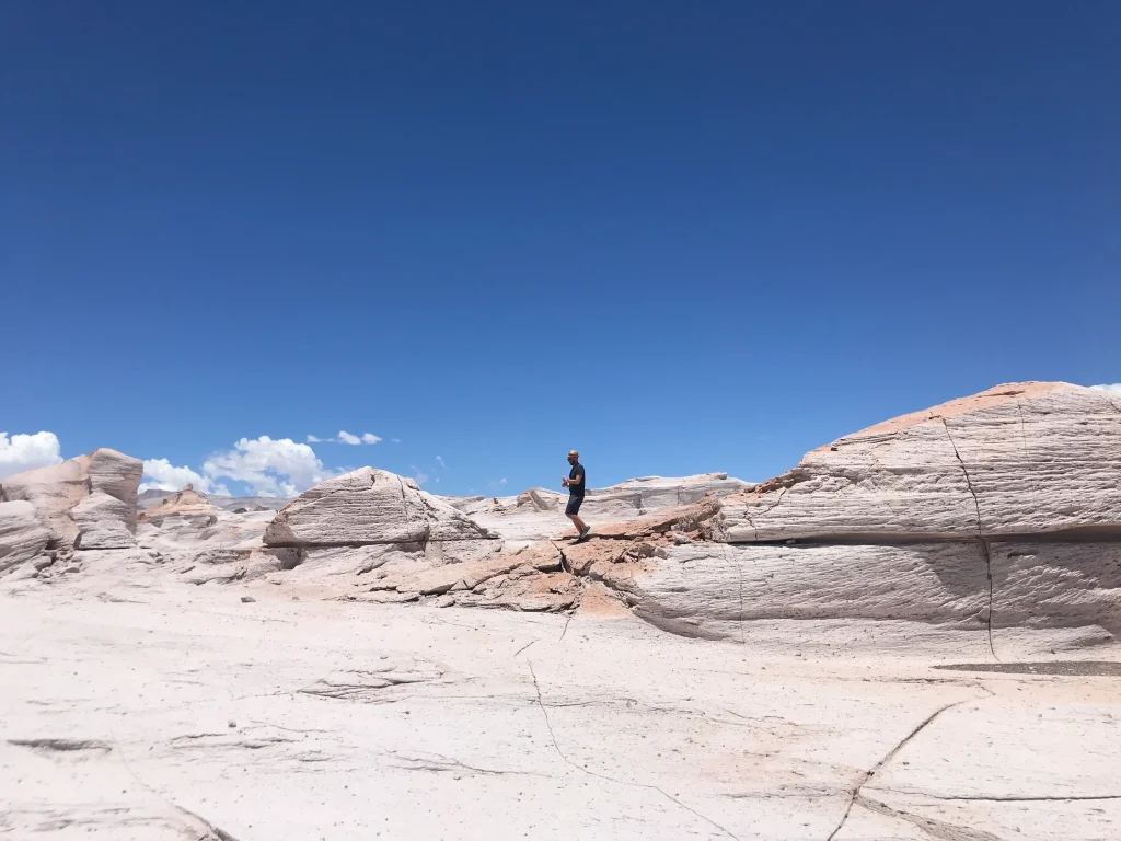 Man in wilderness