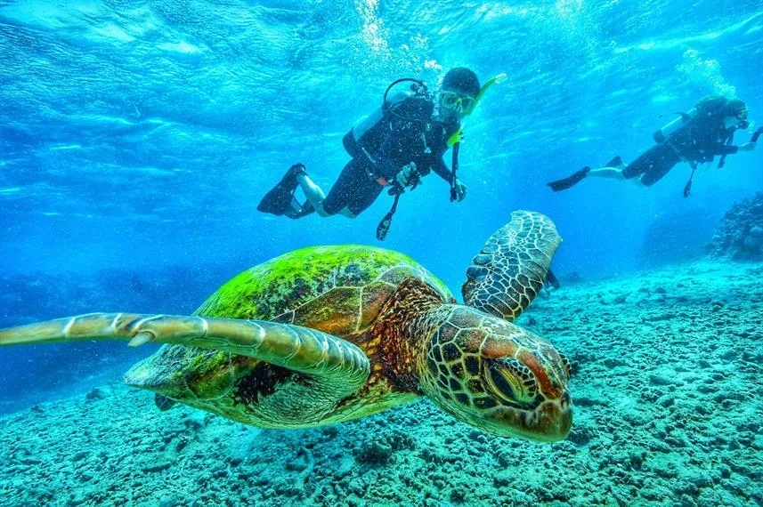 Snorkeling and scuba diving in the Galapagos