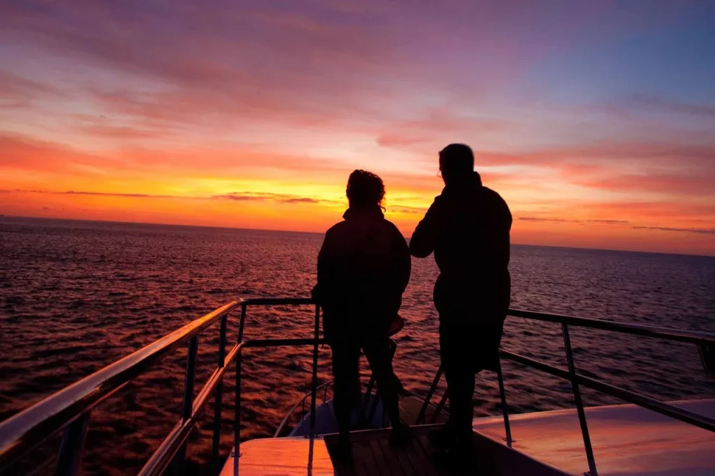 Seaman Journey