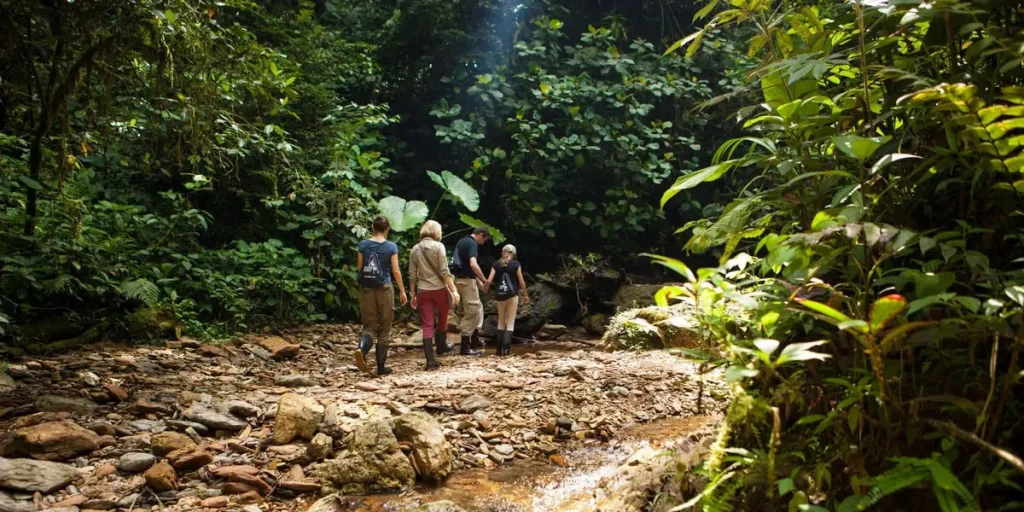 Hiking in Cloud Forest