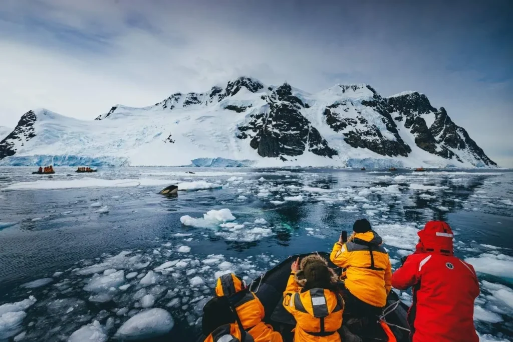 Wildlife Cruise