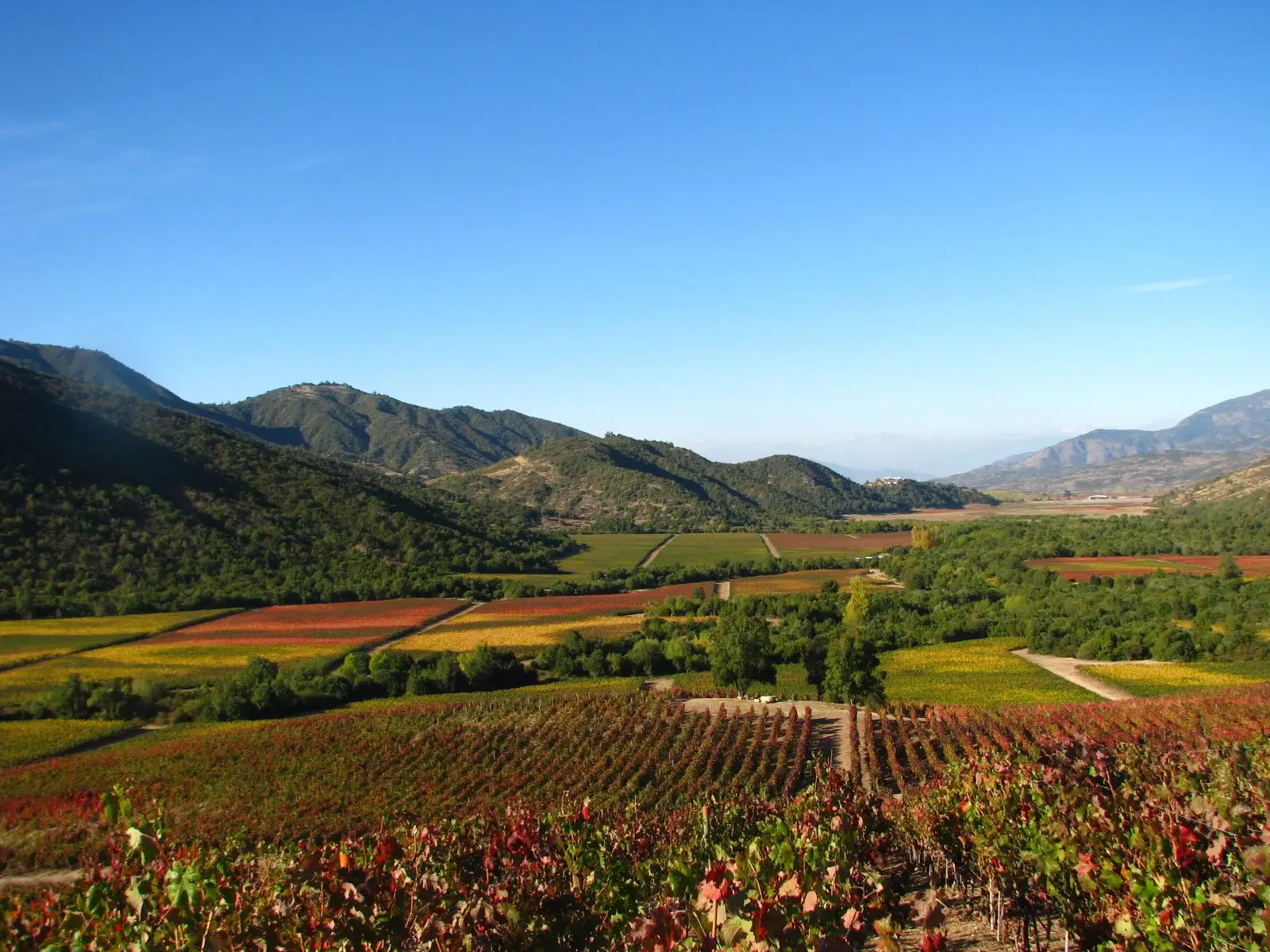 Spend a few days relaxing and sampling delicious wine in the vineyards of Chile