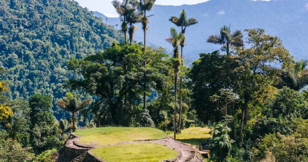 The lush green jungle of Tayrona National Park, where the Kogi Tribe are based.