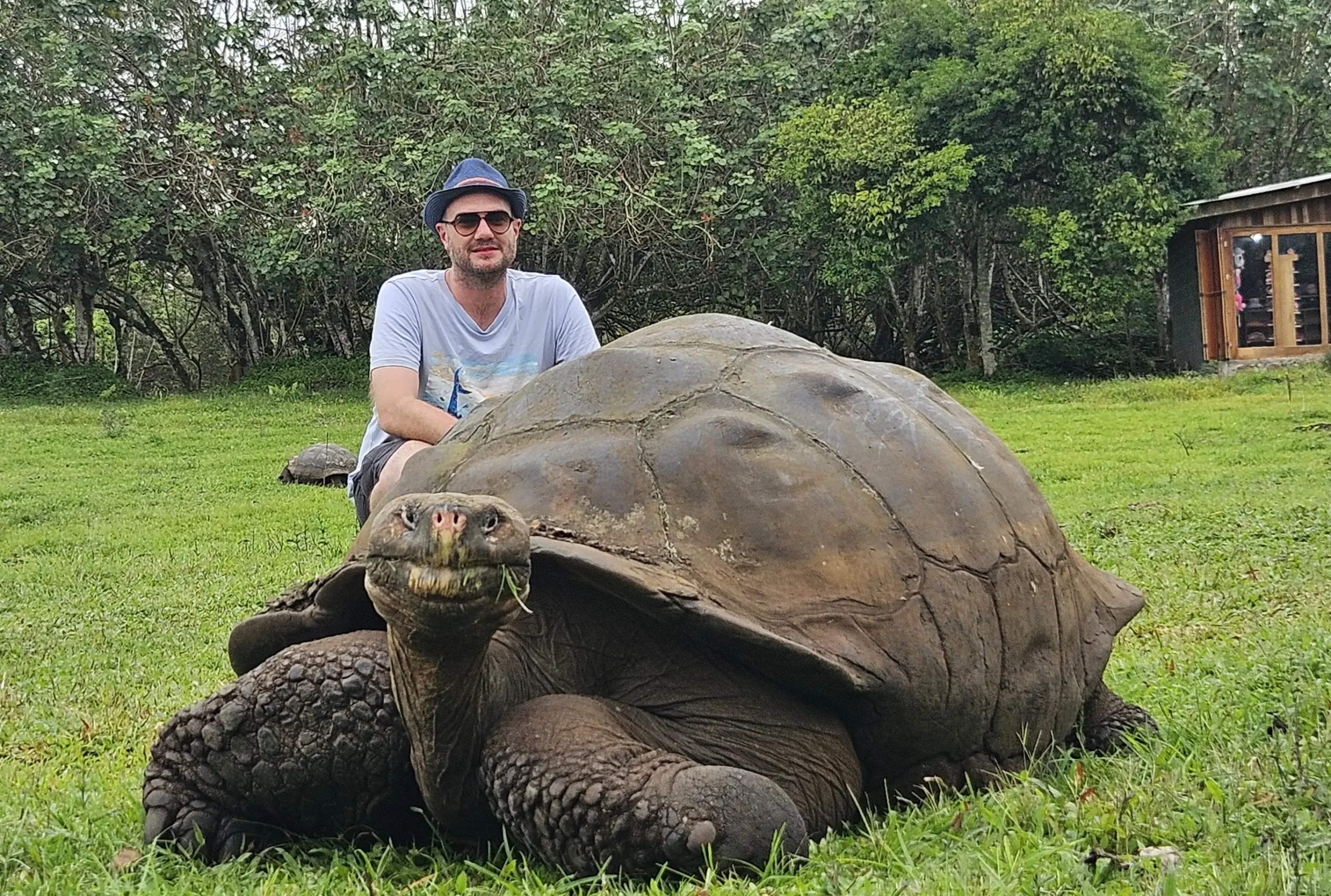 Visit a private reserve in The Galapagos Islands to witness Giant Tortoises up close