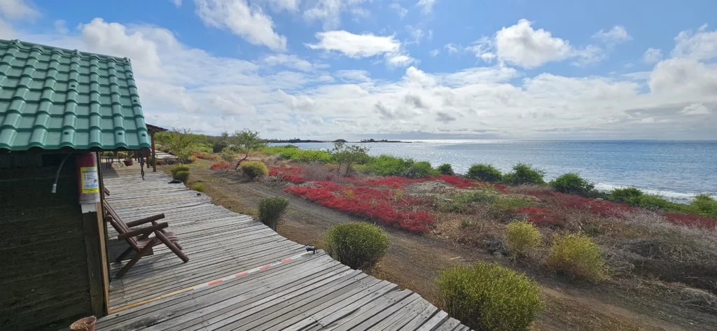 Stunning sea views from Floreana Lava Lodge, in The Galapagos