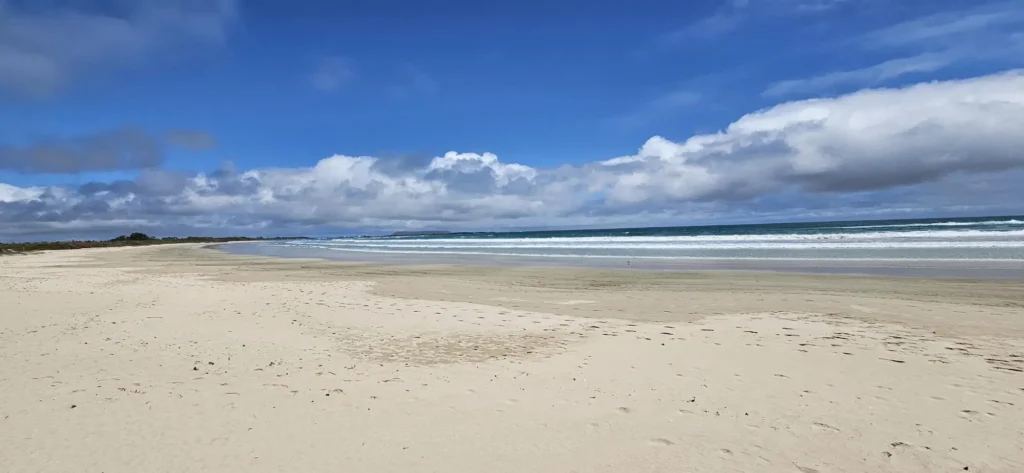 Relax on the beautiful beaches of Isabela Islands. in The Galapagos
