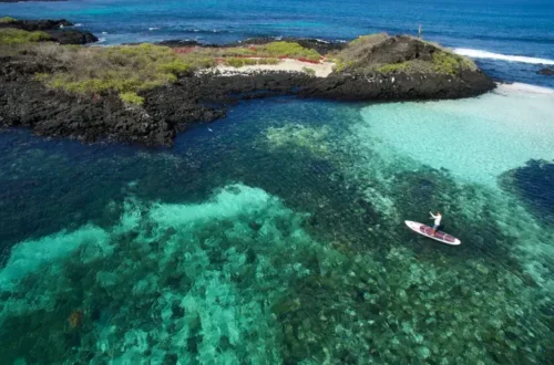 Explore the iconic Galapagos Island on a stand up paddle board