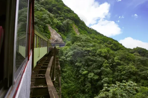 The iconic train journey passing through the Serra do Mar mountains