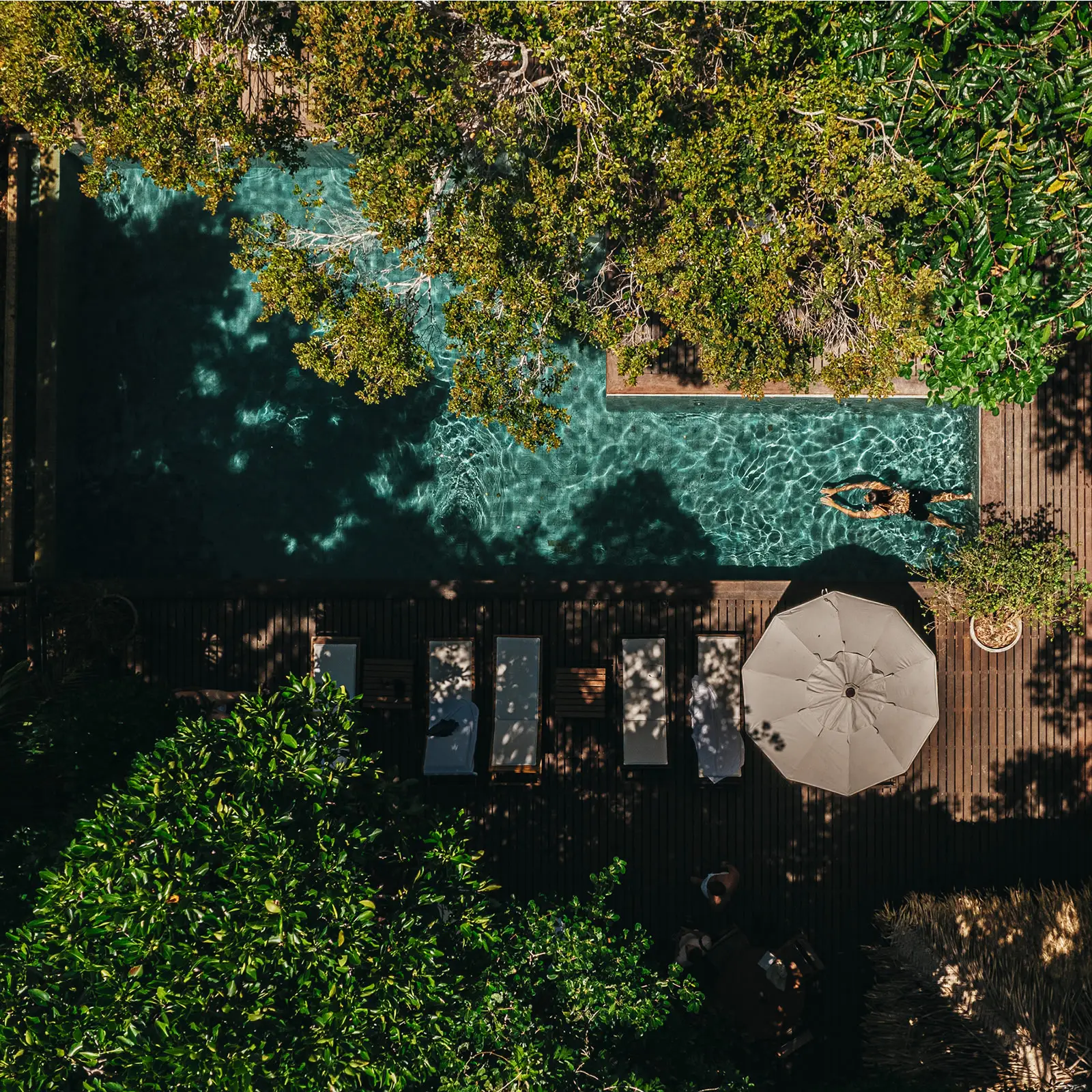 Anavilhanas Jungle Lodge Brazil