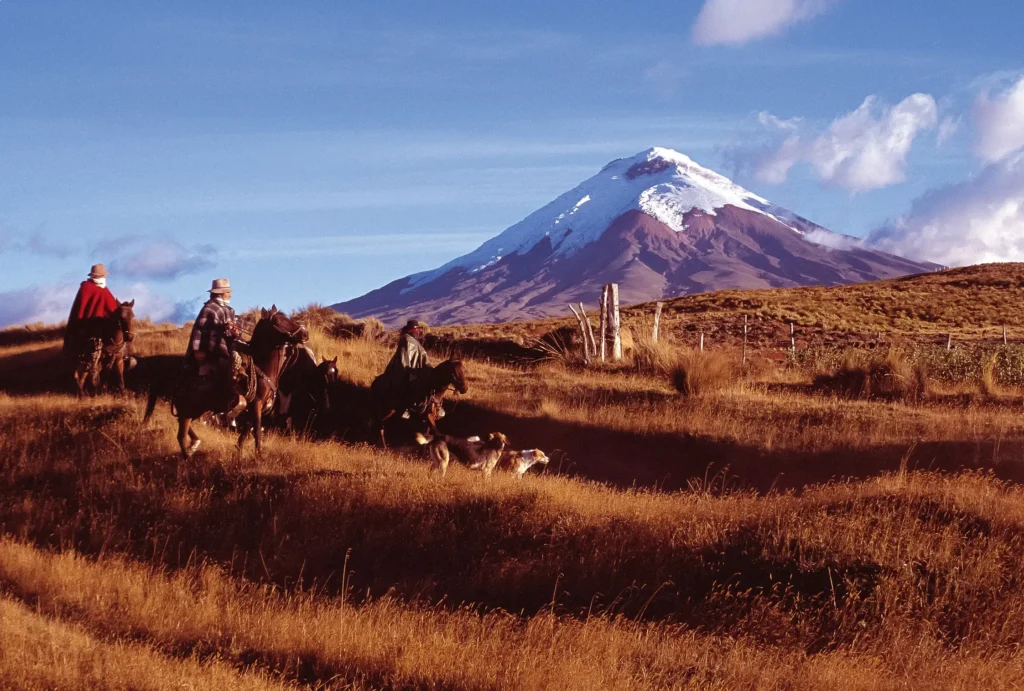 Cotopaxi National Park, Ecuador