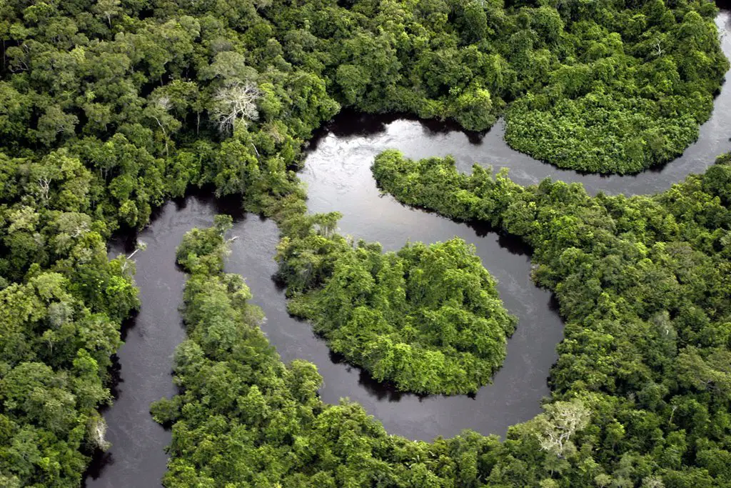 The Peruvian Amazon