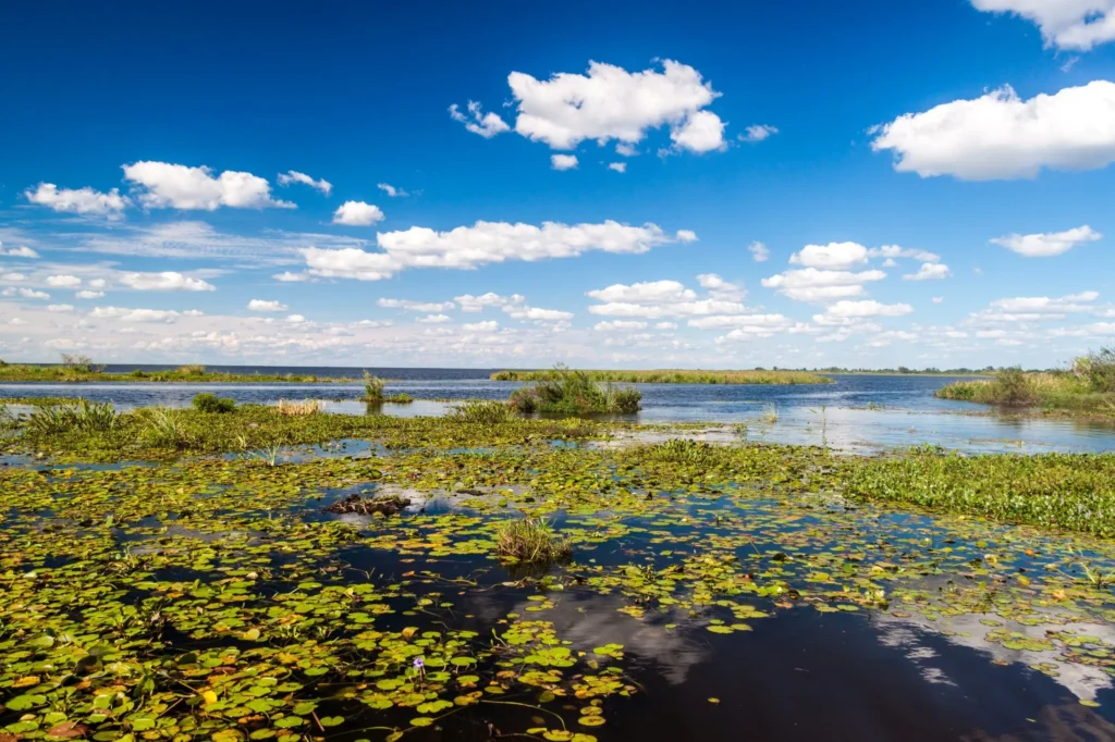 The Ibera Wetlands in Argentina is a nature wonderland