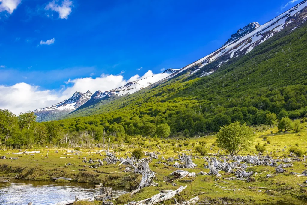 Tierra Del Fuego National Park, Chile