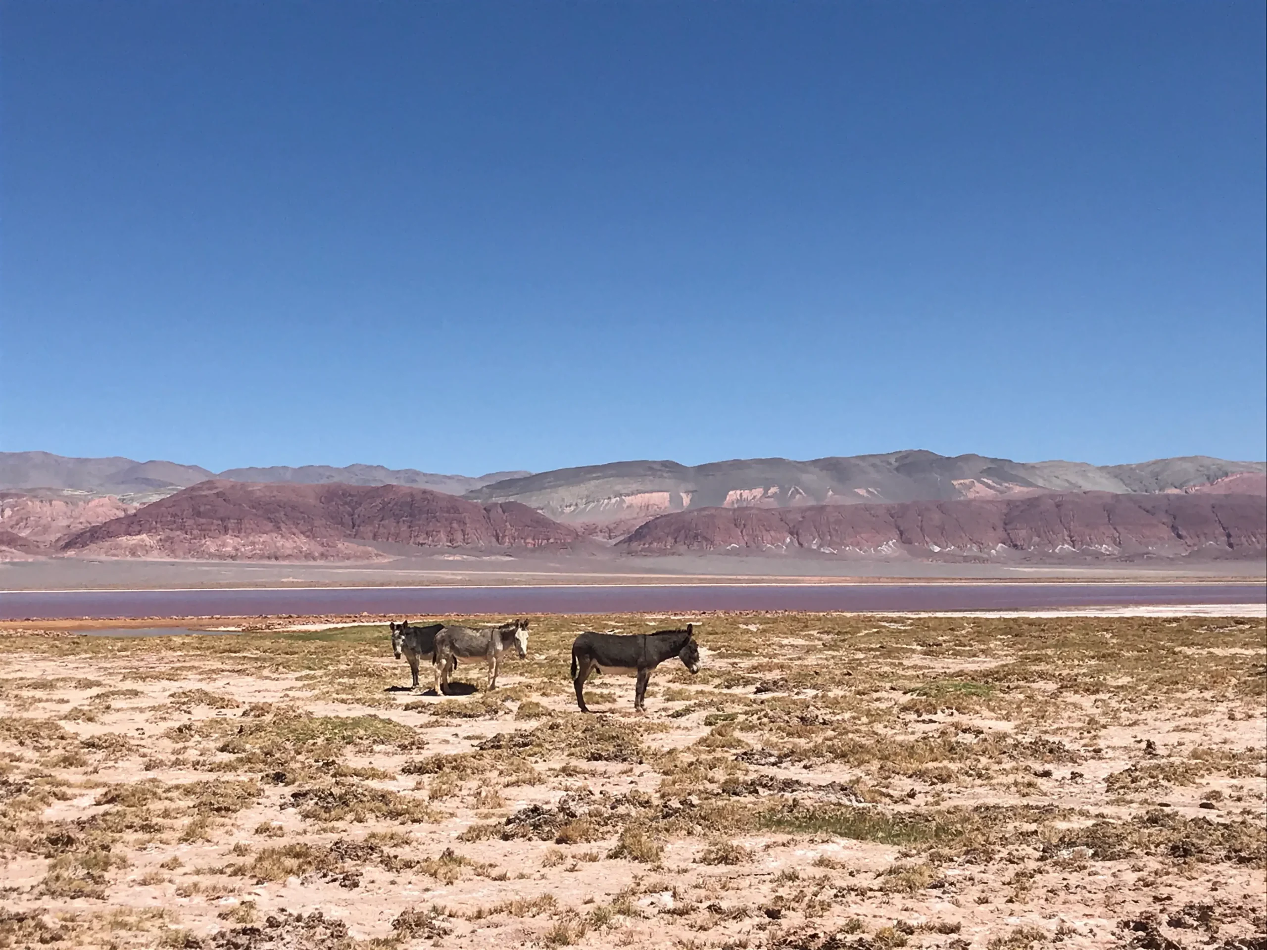 Salta, Northern Argentina