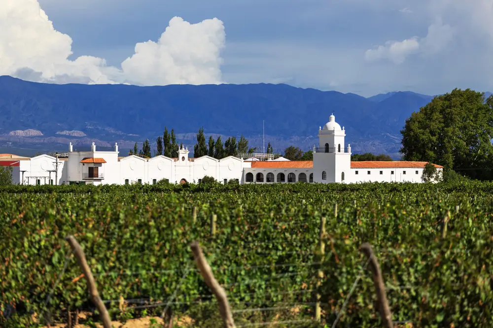 Explore the town of Cafayate, in Northern Argentina