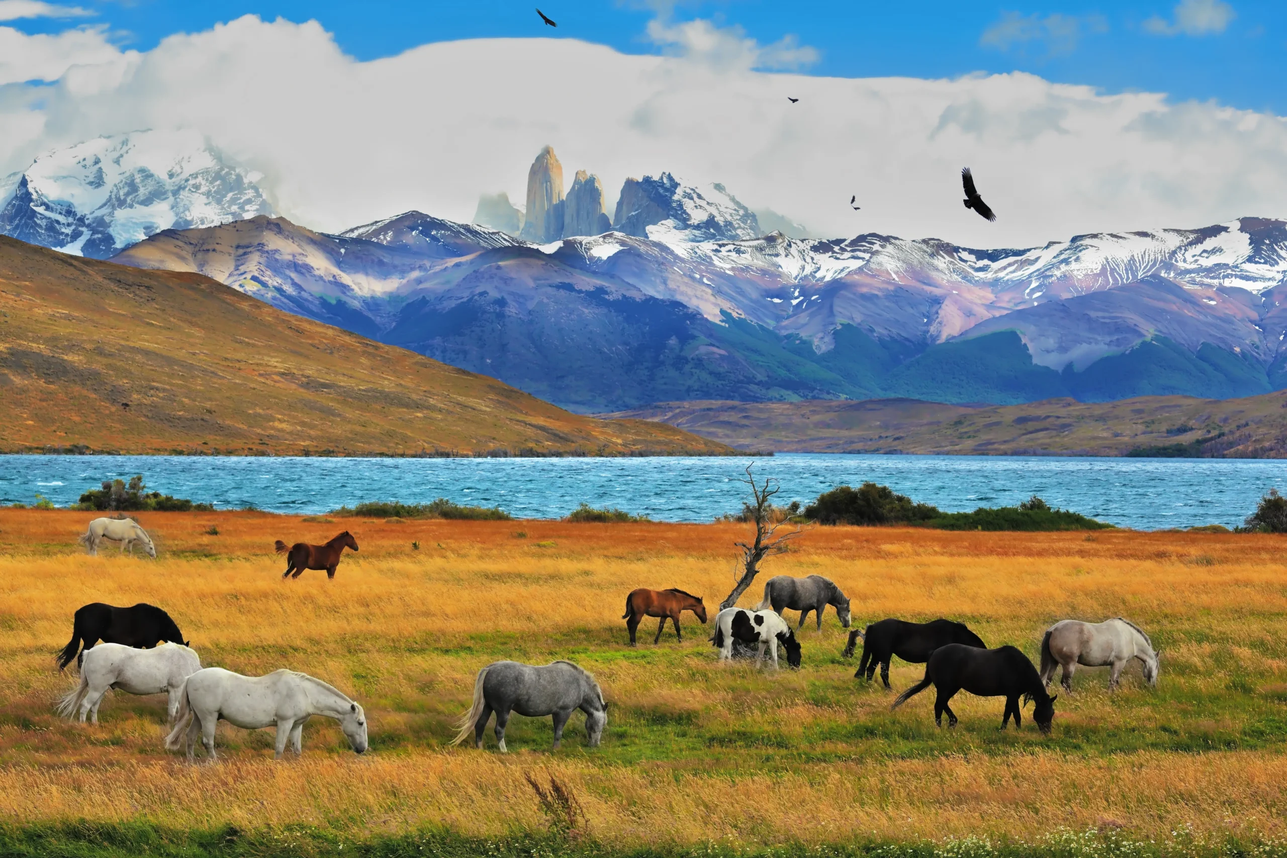 Torres del Paine, Chile