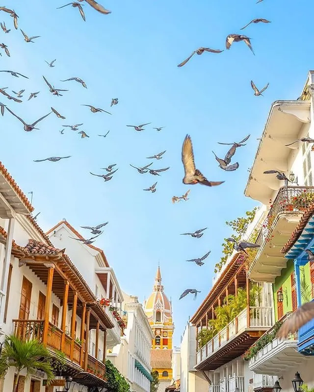 Beautiful Cartagena, Colombia