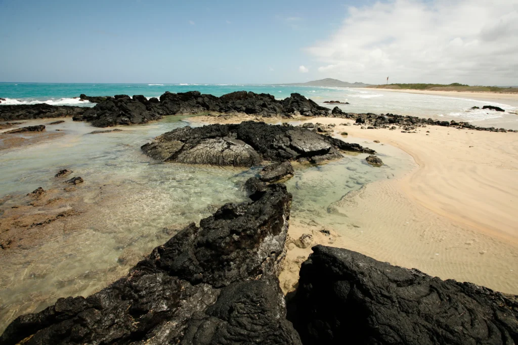 Isabella Island Galapagos