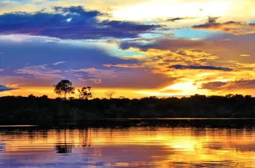 The mighty Amazon Rainforest, Brazil