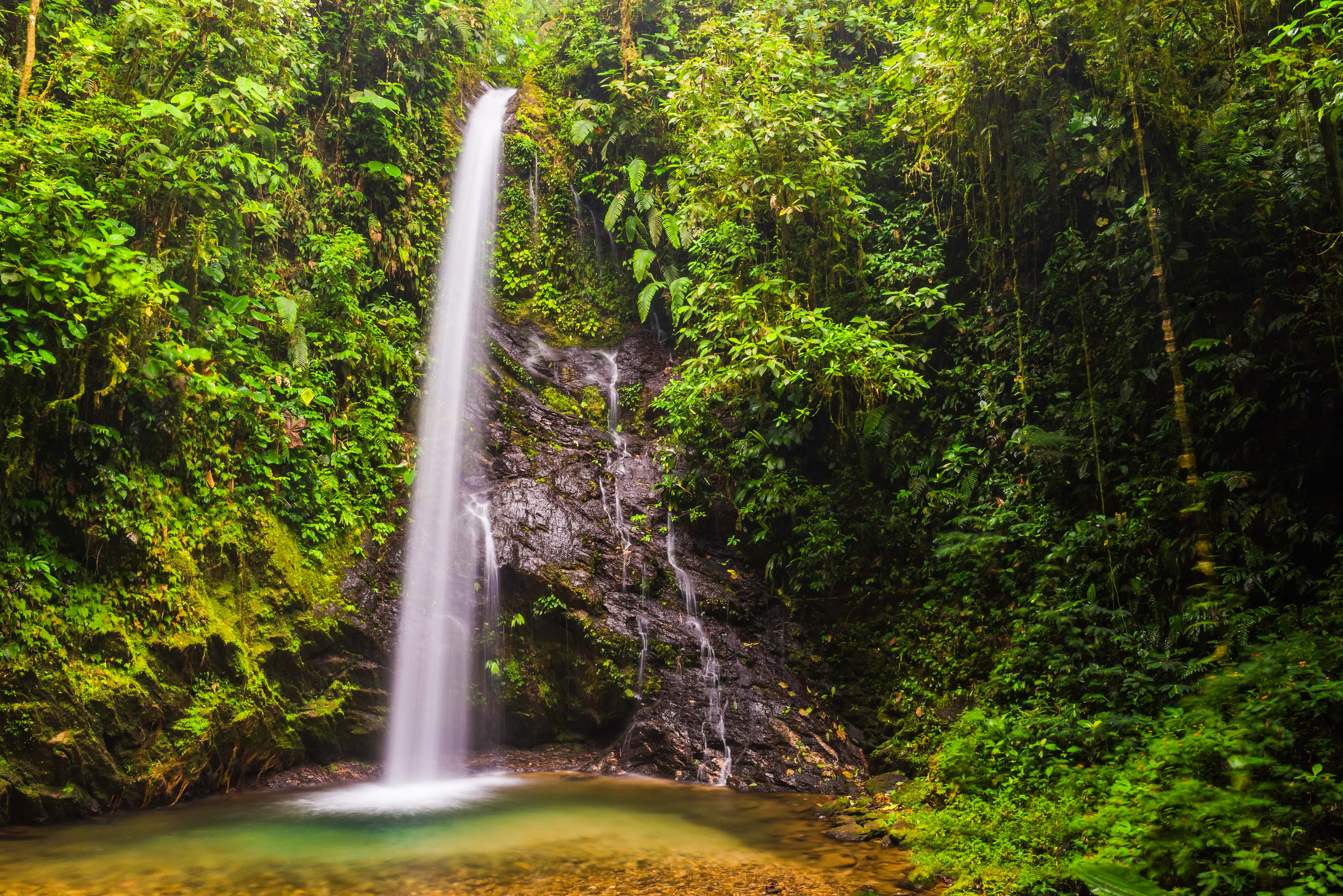Waterfalls in the Cloud Forest Ecuador