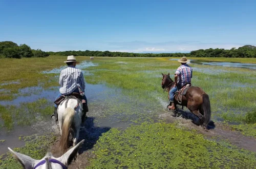 Horse riding in Yopal, Colombia