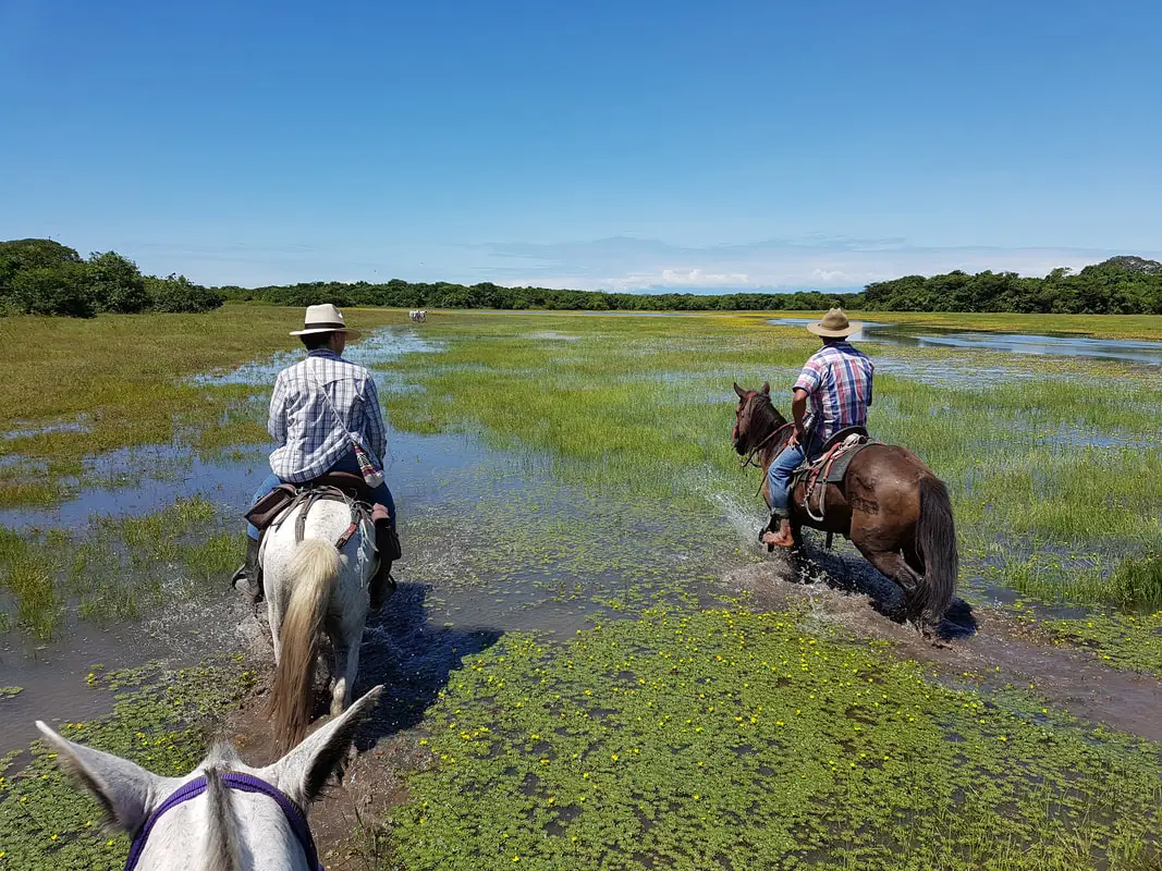 Horse riding in Yopal, Colombia