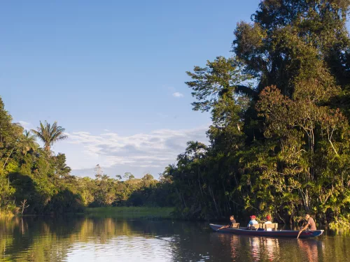Take a boat trip in the Amazon Rainforest, Brazil