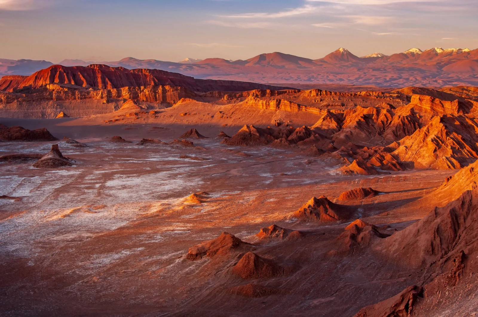 Explore the vast wilderness of The Atacama Desert in Chile