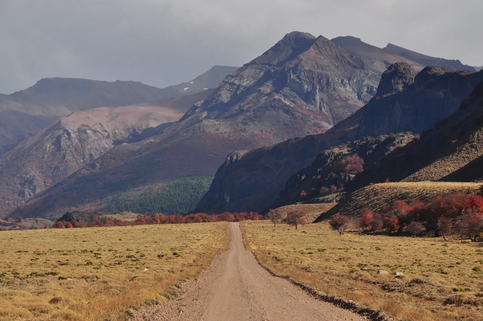 Mallin Colorado, Patagonia